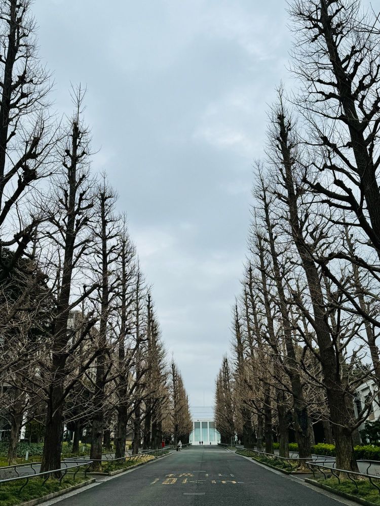 慶應義塾大学日吉キャンパス