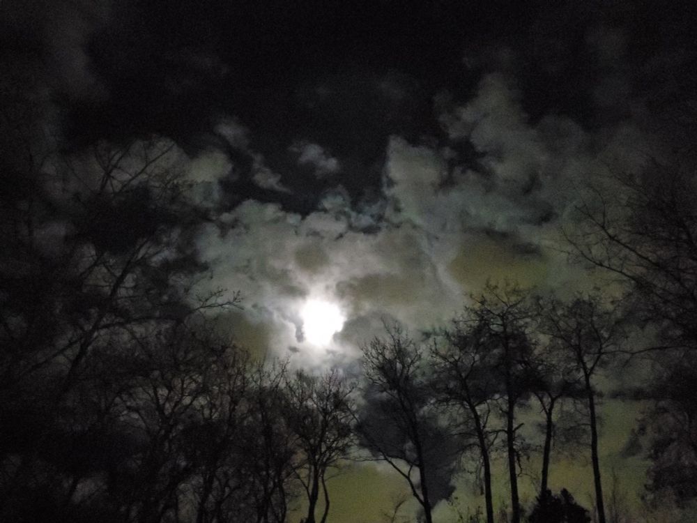 The full moon behind a blaze of clouds as trees bend upwards in worship