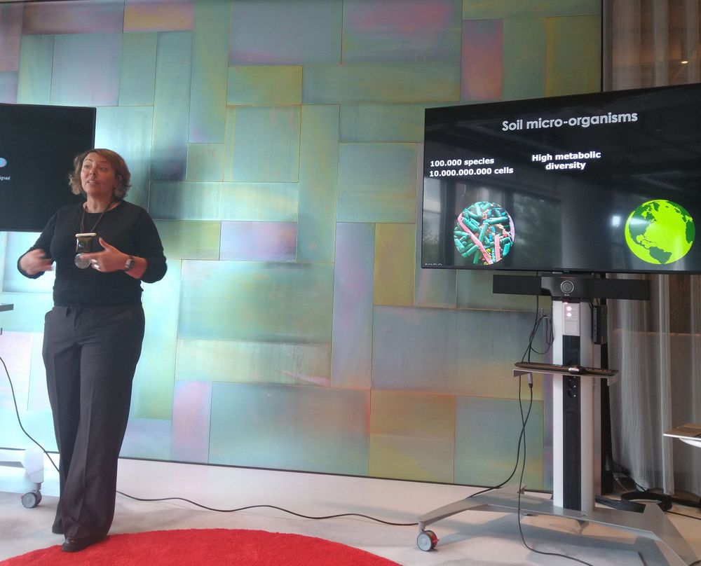 Joana Falcao Salles (GELIFES, RUG) presenting the soil microbiome.