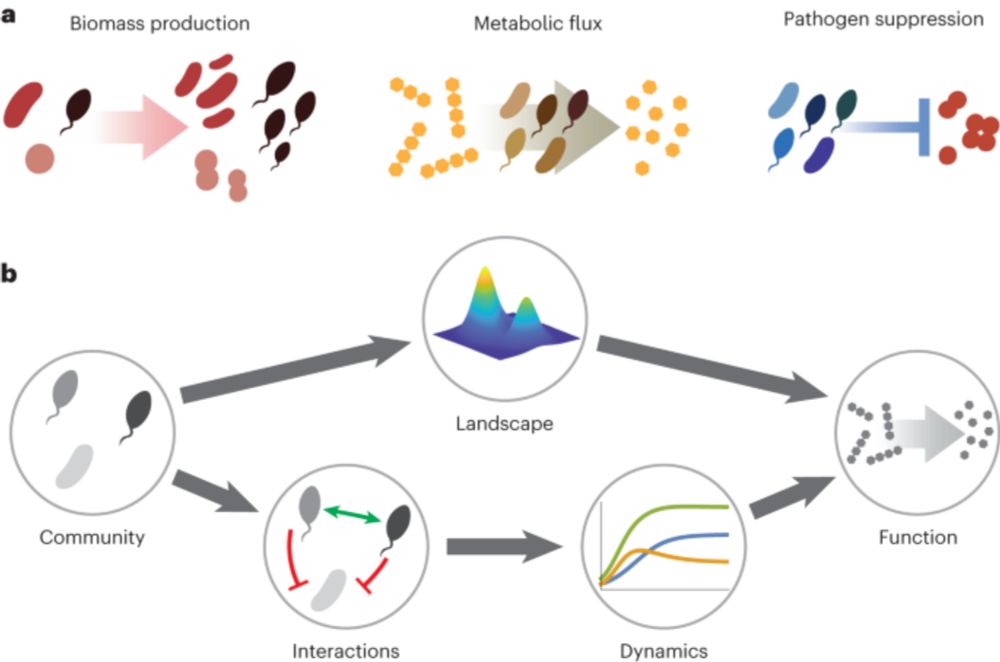 Statistically learning the functional landscape of microbial communities - Nature Ecology & Evolutio...