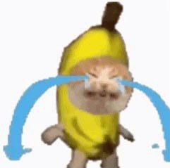 Chat banane qui pleure 