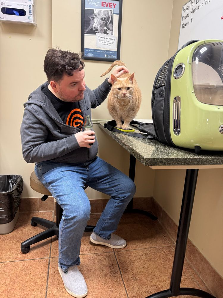 a super fucking hot guy (me) in a dreamcast t-shirt. grey zip hoodie, jeans, and grey felt shoes is petting the world’s most beautiful orange cat on the exam table in a vet’s office