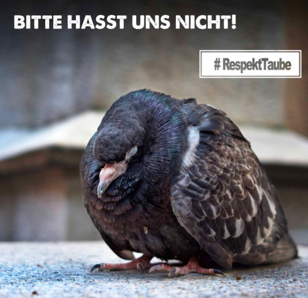 Stadttraube, darüber steht "Bitte hasst uns nicht!"