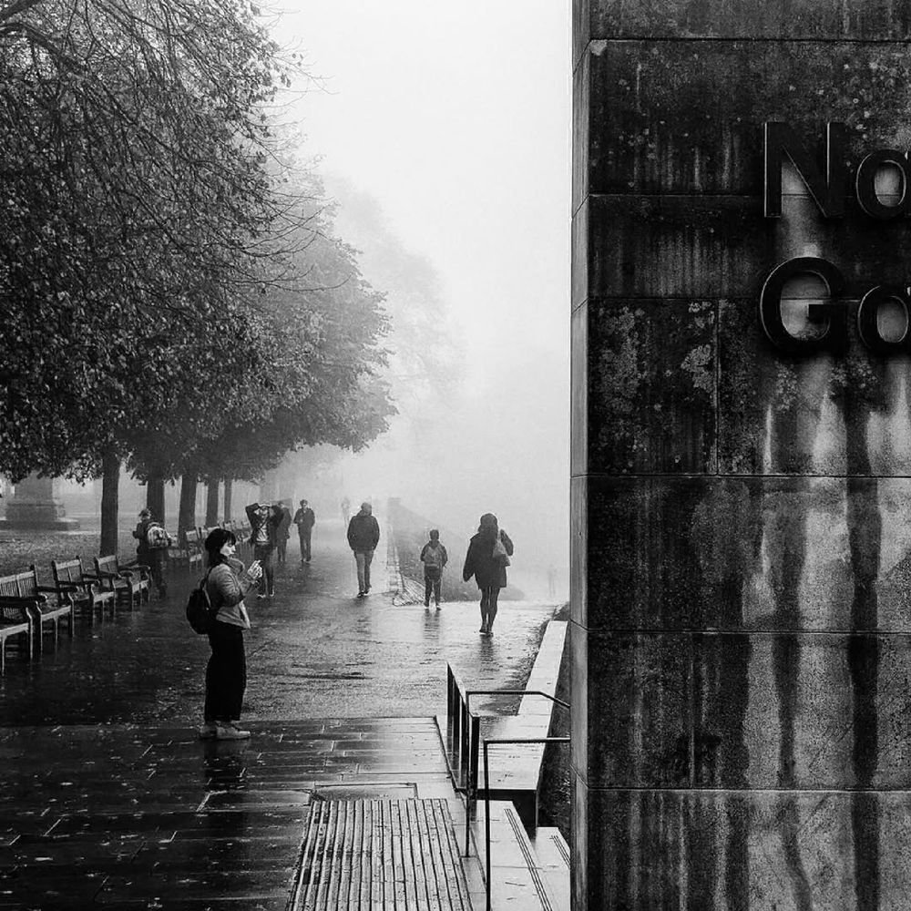 Foggy morning in the Gardens