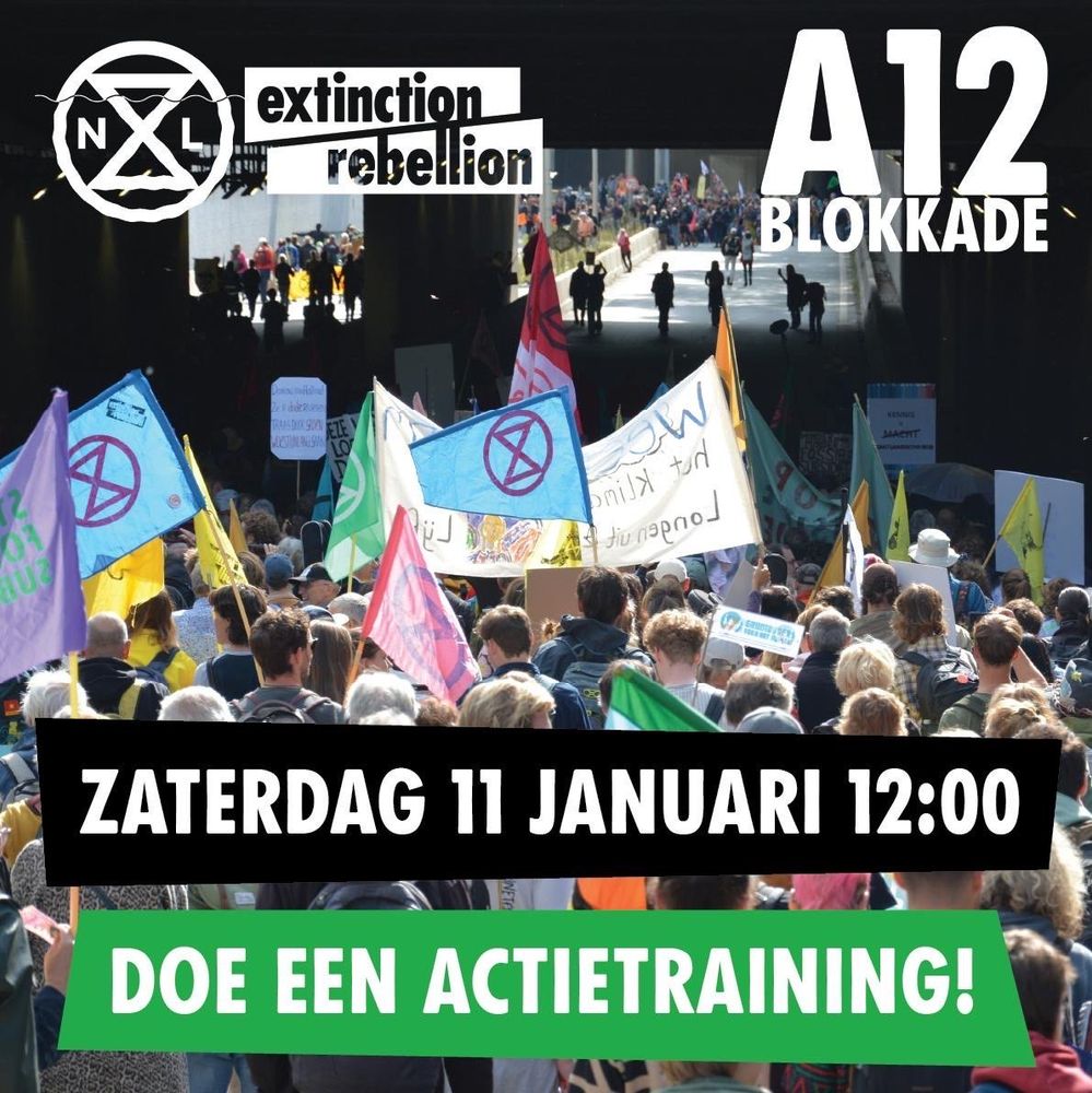 Een grote groep rebellen aan beide zijden van de tunnelbak op de A12. Ze houden vlaggen met logo’s vast. Bovenin he XR en A12 logo, onderin de tekst ‘Zaterdag 11 januari 12:00’ en ‘doe een actietraining!’
