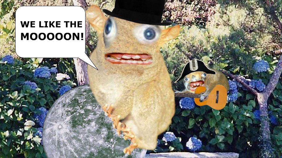 Still from the classic Rather Good flash animation "We like the moon"