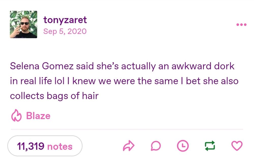 tony zaret on tumblr: "Selena Gomez said she’s actually an awkward dork in real life lol I knew we were the same I bet she also collects bags of hair"
