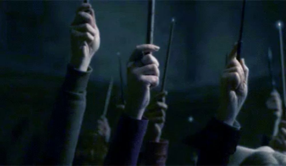 a group of people holding up their wands in the air .