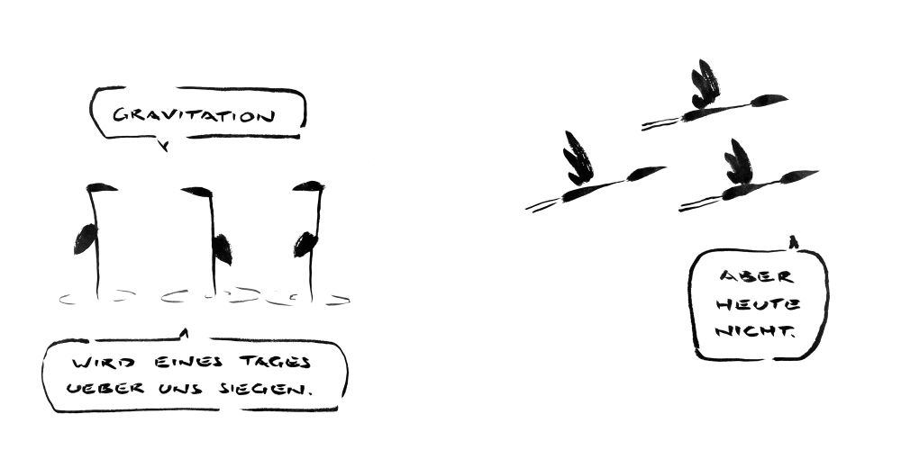 Cartoon aus wenigen schwarzen Tuschestrichen in zwei Bildern. Erstes Bild: ein Kranich, der im Wasser steht, sagt zu zwei anderen Kranichen: „Gravitation wird eines Tages über uns siegen.“ 
Zweites Bild: die drei Kraniche Fliegen. Einer sagt: „aber heute nicht.“