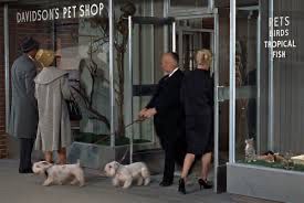Alfred Hitchcock walking dogs in front of pet shop from his cameo in The Birds