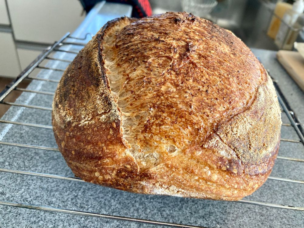 Sourdough batard on a cooling rack. 