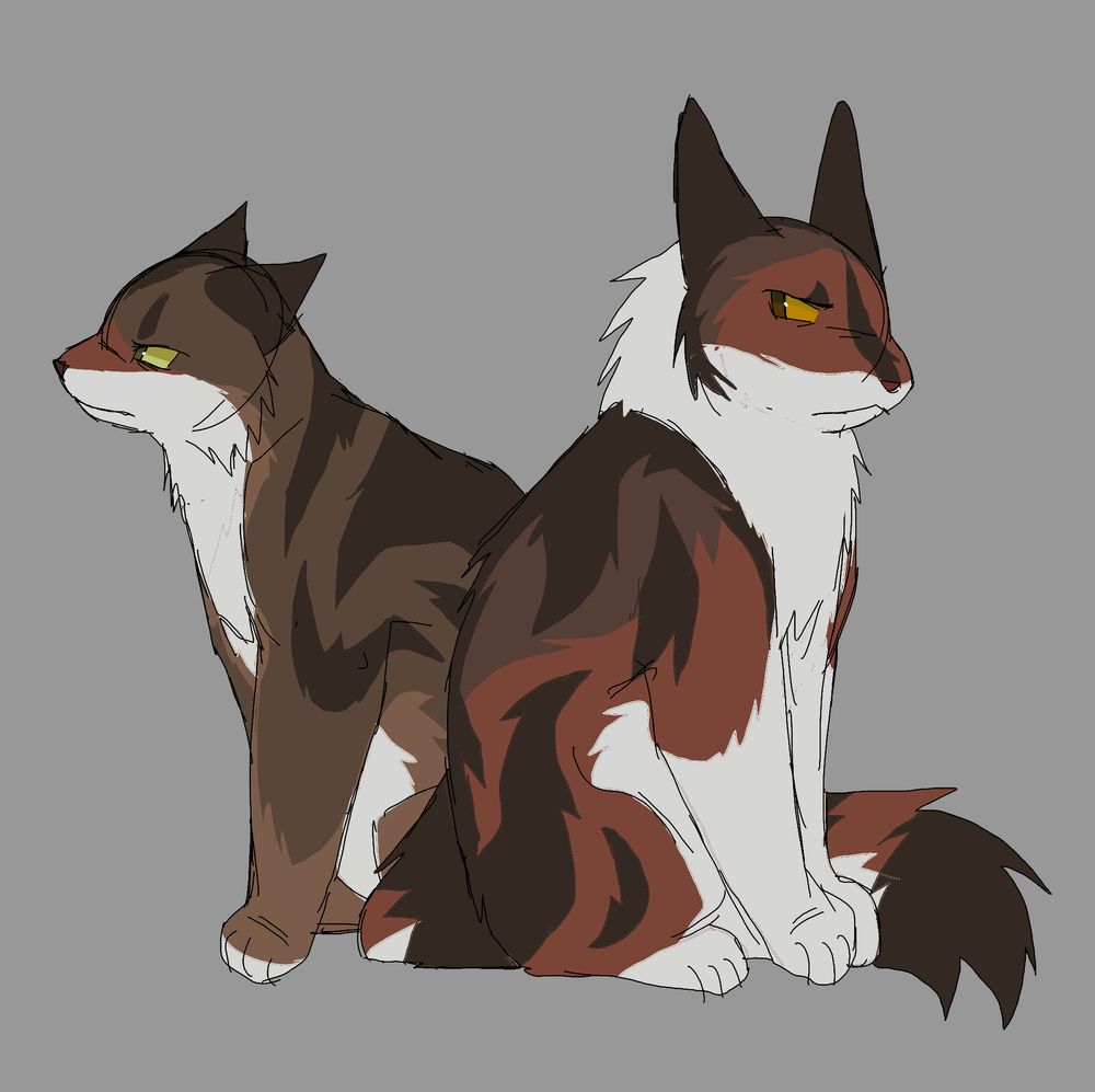 A drawing of my warrior cats ocs, Wrenwhistle and Cardinalstar. Wrenwhistle is a brown tabby with a white underbelly and green eyes. Cardinalstar is a reddish-brown tabby with a more amber eye color. They are sitting next to each other, back to back. They both look upset, with Wrenwhistle looking away from Cardinalstar, who is looking back at her. 