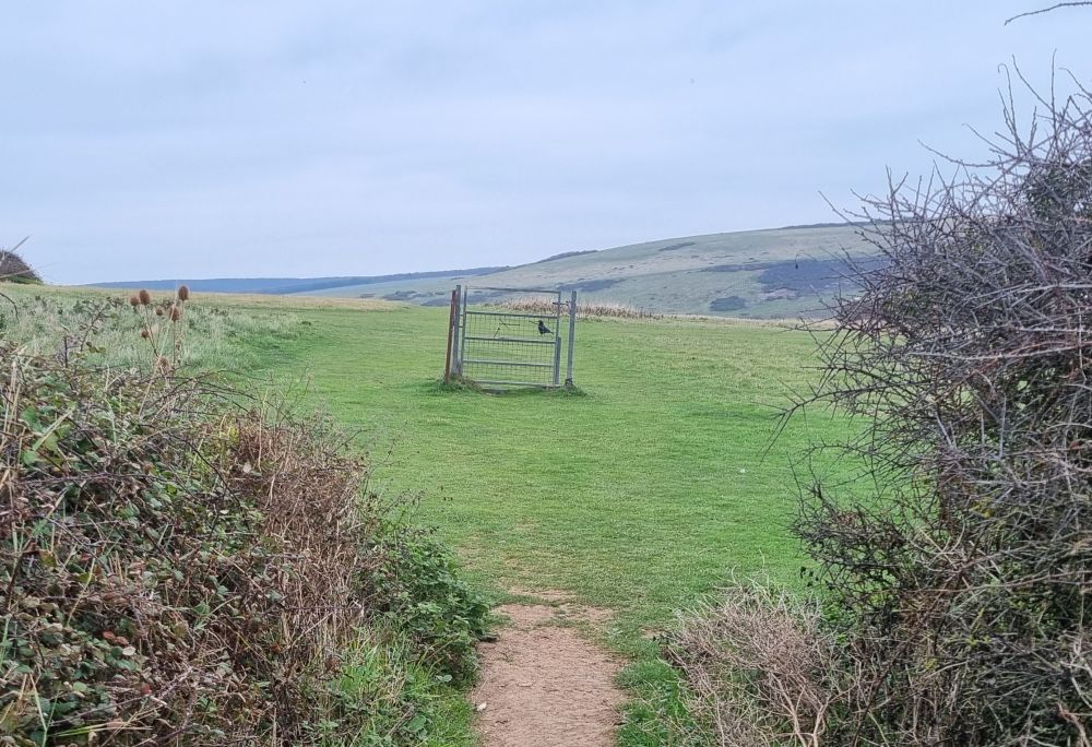 A gate, all on its own with no fence 