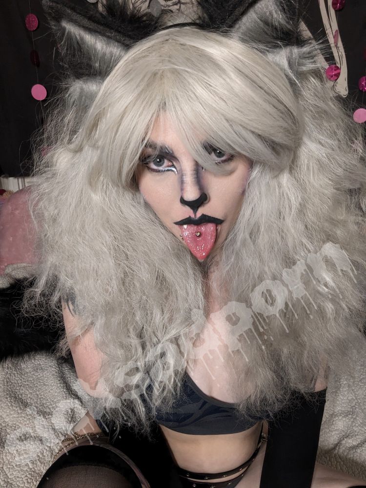 beetle with wild silver hair and black wolf ears, tongue sticking out of their mouth. they are seated with a fluffy black tail behind them in the background