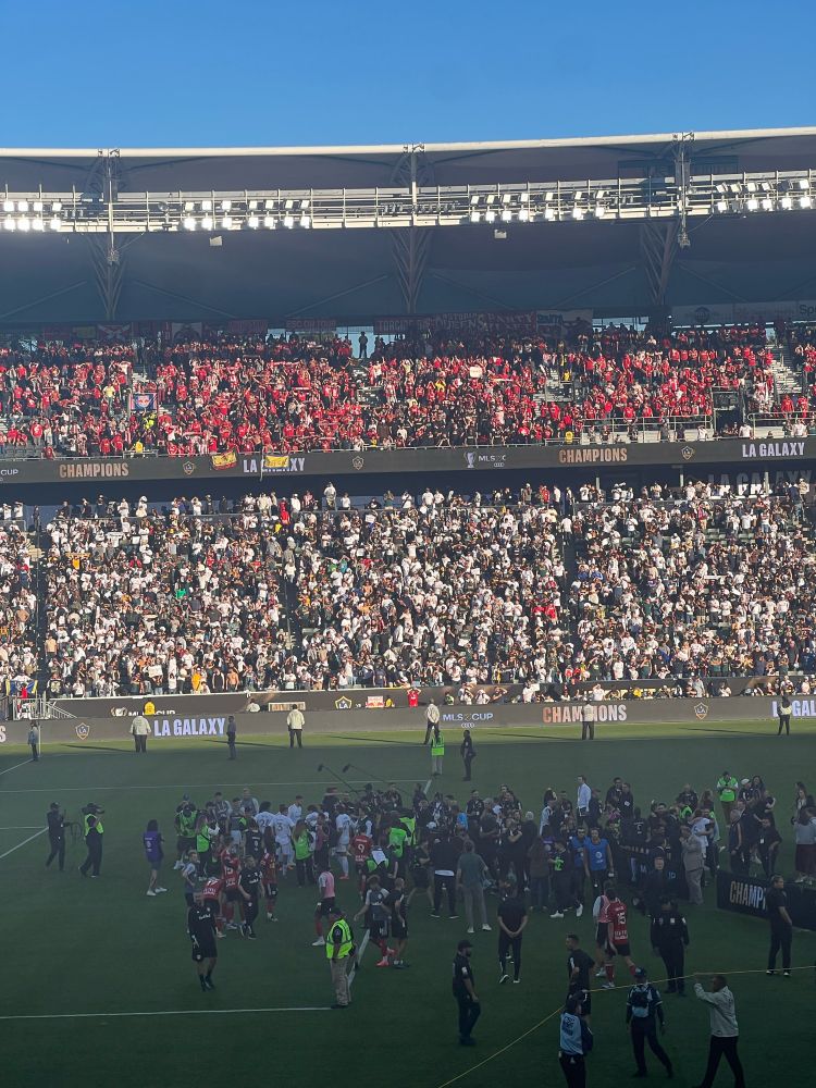 Red Bulls fans in the stands at the LA Galaxy game. 