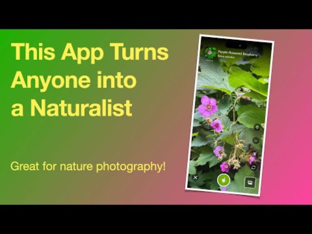 This App Makes You a Naturalist