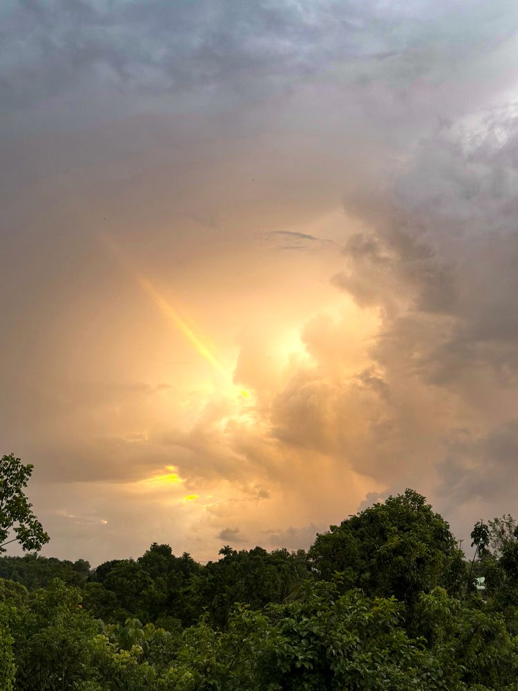 A photograph capturing a breathtaking moment in the sky, with the sun's rays piercing through heavy, stormy clouds. The brilliant yellow and orange light forms a powerful shaft, creating a contrast with the deep gray and blue tones of the surrounding clouds. Below the dramatic sky, the lush, green canopy of a forest fills the lower third of the frame, with the tops of the trees appearing as dark shapes against the glowing backdrop.
