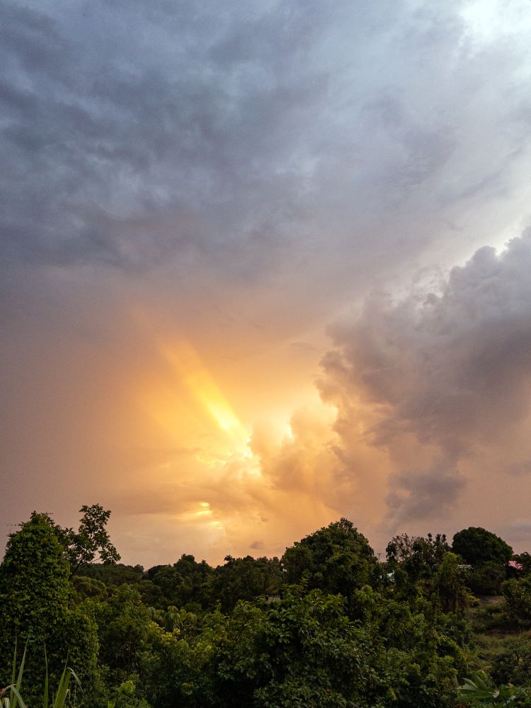 A photograph capturing a breathtaking moment in the sky, with the sun's rays piercing through heavy, stormy clouds. The brilliant yellow and orange light forms a powerful shaft, creating a contrast with the deep gray and blue tones of the surrounding clouds. Below the dramatic sky, the lush, green canopy of a forest fills the lower third of the frame, with the tops of the trees appearing as dark shapes against the glowing backdrop.