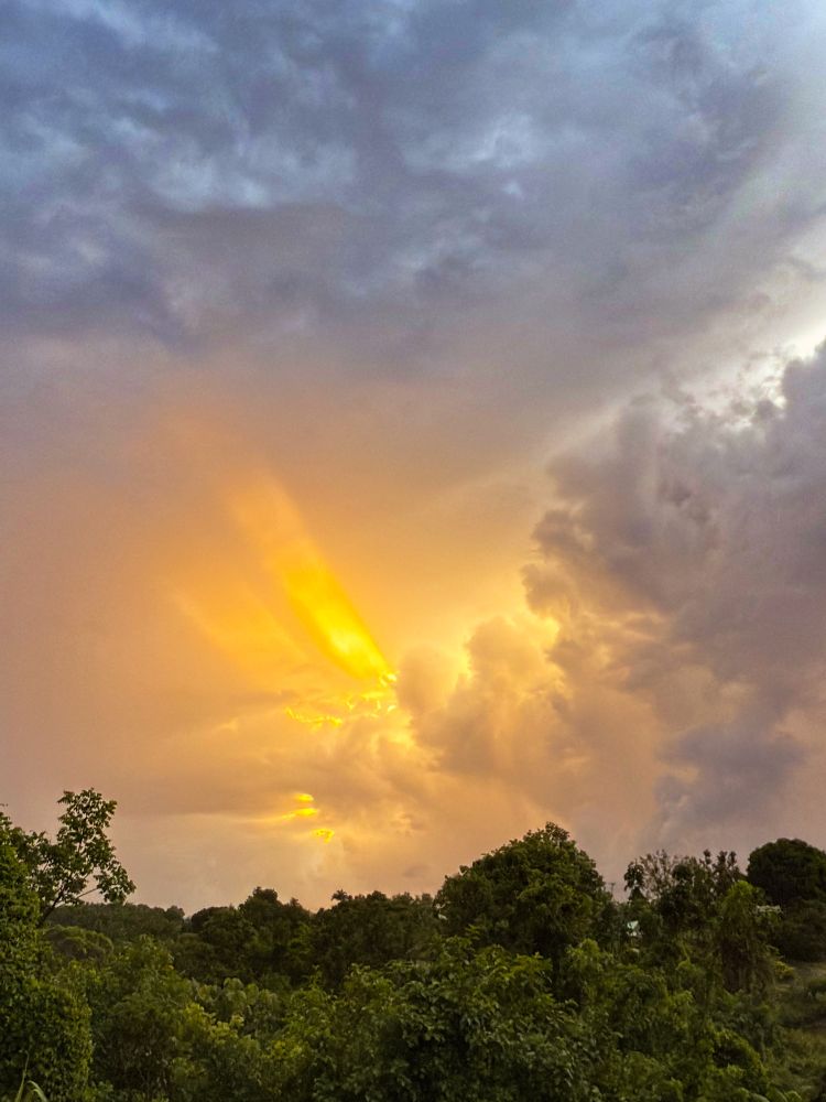 A photograph capturing a breathtaking moment in the sky, with the sun's rays piercing through heavy, stormy clouds. The brilliant yellow and orange light forms a powerful shaft, creating a contrast with the deep gray and blue tones of the surrounding clouds. Below the dramatic sky, the lush, green canopy of a forest fills the lower third of the frame, with the tops of the trees appearing as dark shapes against the glowing backdrop.