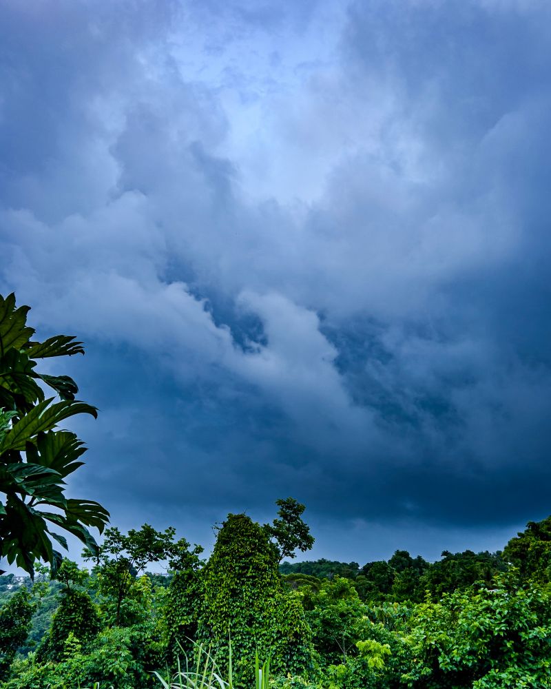 A dense canopy of lush tropical forest stretches across the landscape, its trees and vines displaying various shades of deep green. Thick vegetation climbs over hills and tree trunks, indicating a thriving, untouched ecosystem. Above, the sky is dominated by heavy, ominous storm clouds that swirl and layer in dark grays and blues, suggesting an approaching tropical storm or monsoon. The dramatic contrast between the vibrant greenery of the forest and the brooding, turbulent sky creates a sense of tension and anticipation, capturing the powerful and unpredictable mood of nature just before a heavy downpour.