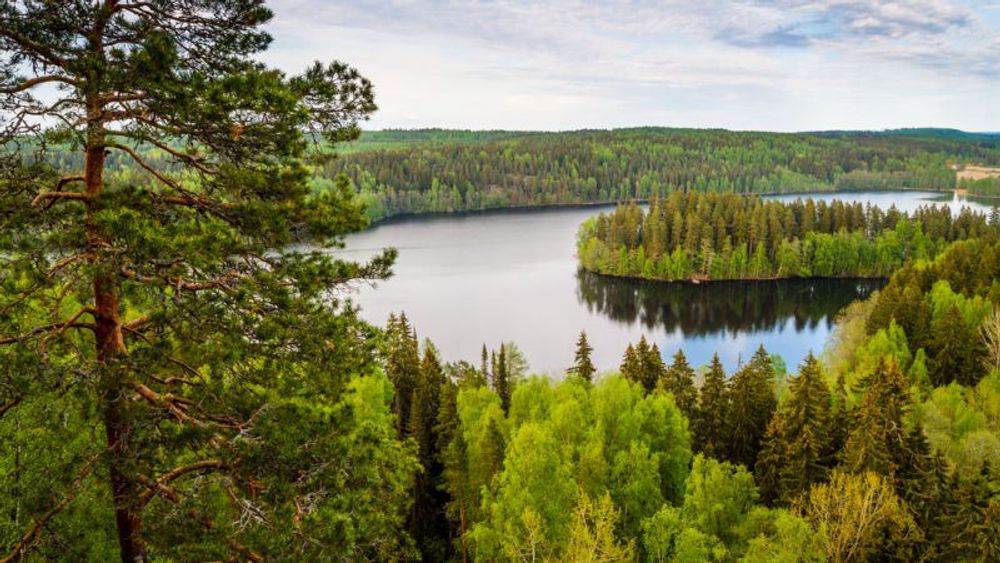 Commission's forest monitoring proposals met with little enthusiasm, but states see potential