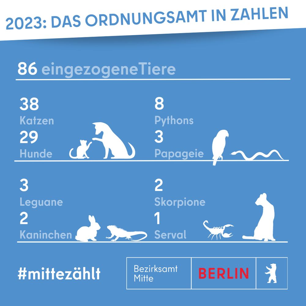 2023: Das Ordnungsamt in Zahlen.
86 eingezogene Tiere: 38 Katzen, 29 Hunde, 8 Pythons, 3 Papageie, 3 Leguane, 2 Kaninchen, 2 Skorpione, 1 Serval.