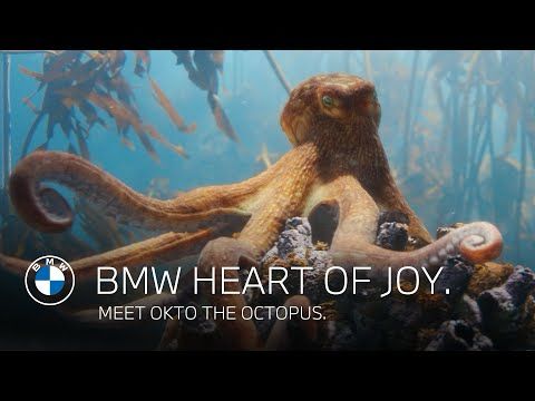 BMW Heart of Joy | Meet Okto the octopus.