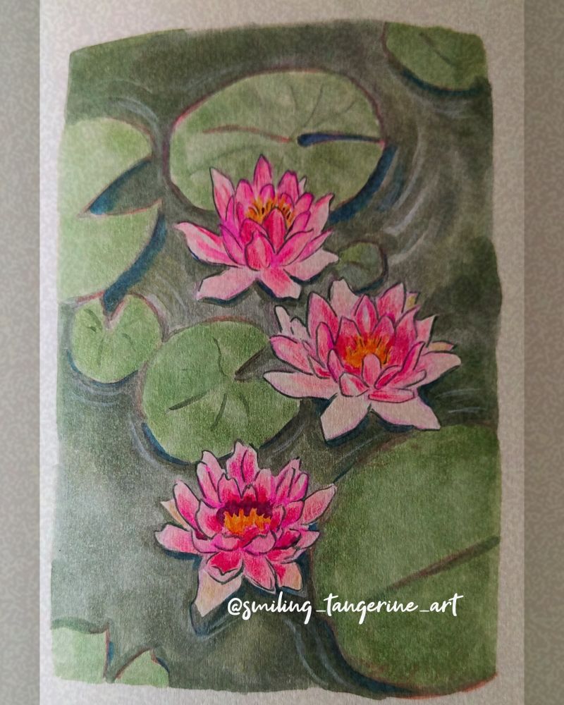 A waterlily study, inspired by Monet's garden and waterlily paintings