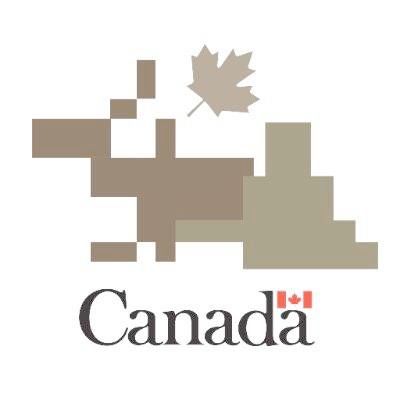 A blob of pixel-y looking camouflage with a maple leaf above it and the Canada logo below.