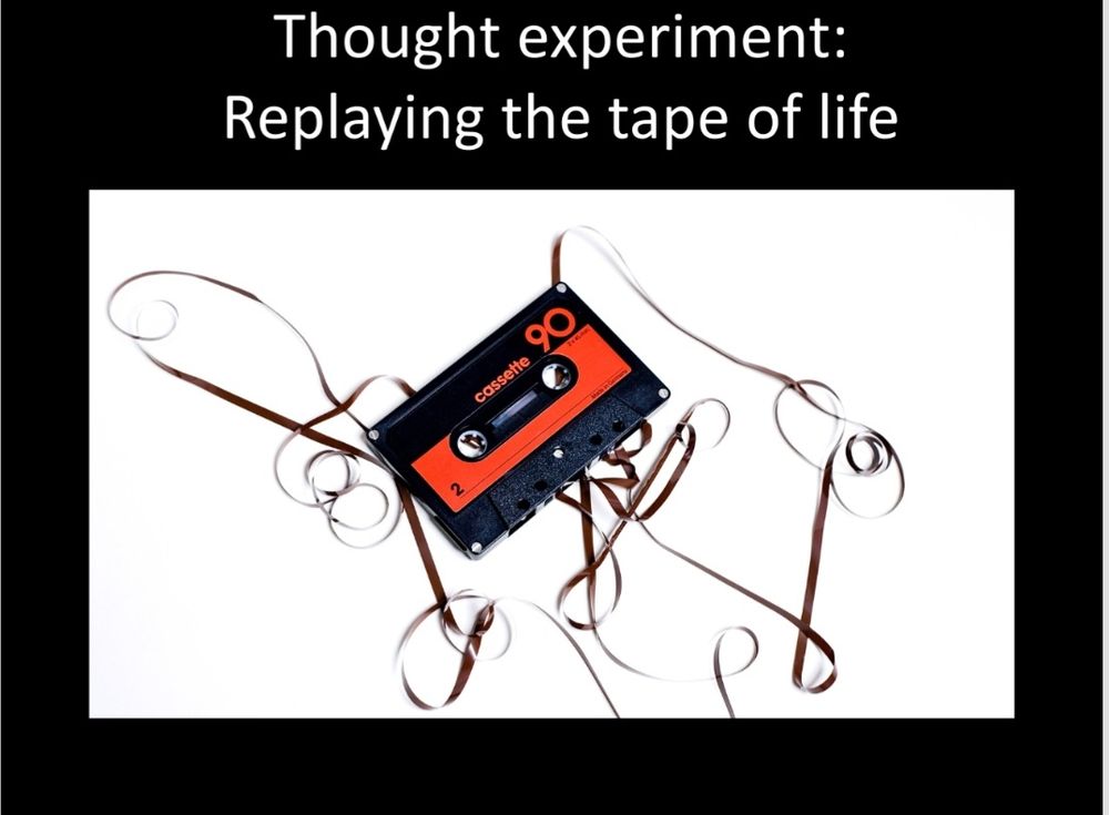 Header: Thought experiment: replaying the tape of life
Image: a cassette tape with the tape messed up and going everywhere. If you're gen z, this alt text won't make sense and I'm sorry 