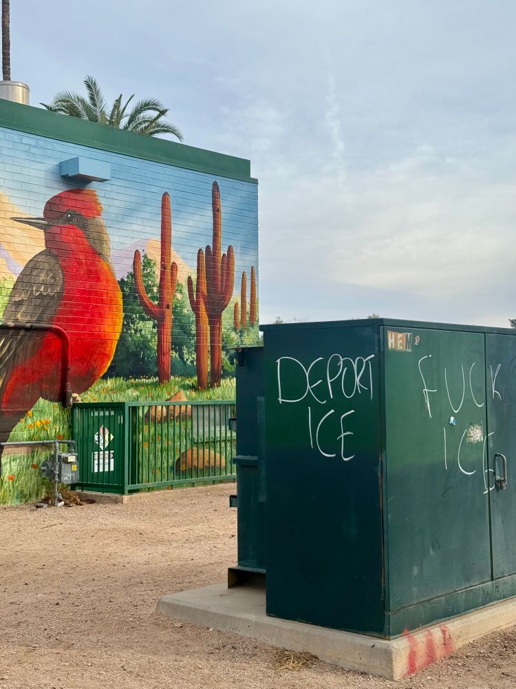 In the background, a mural with a cardinal and saguaros. In the foreground, graffiti that says “deport ICE”