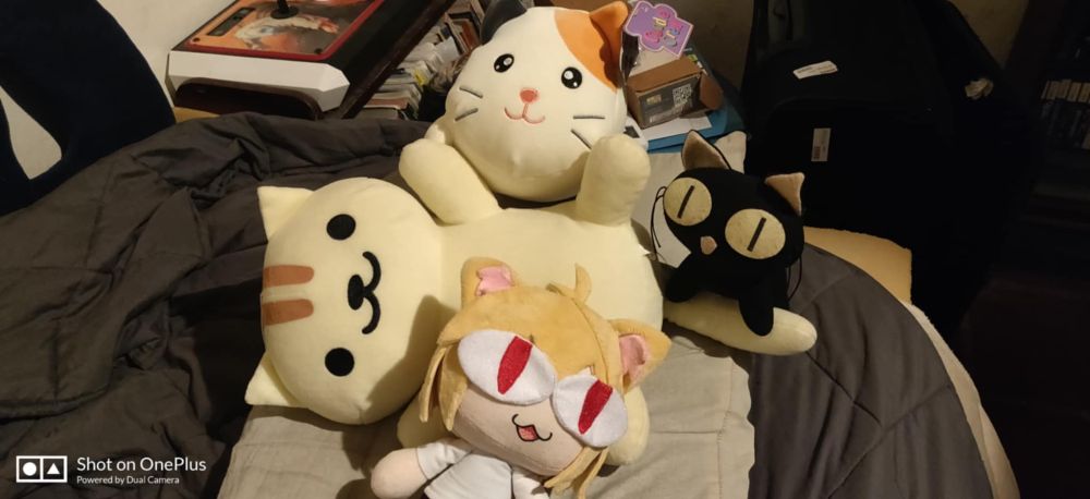 Loaf, Apricot, Kuroneko-sama and Neco-Arc