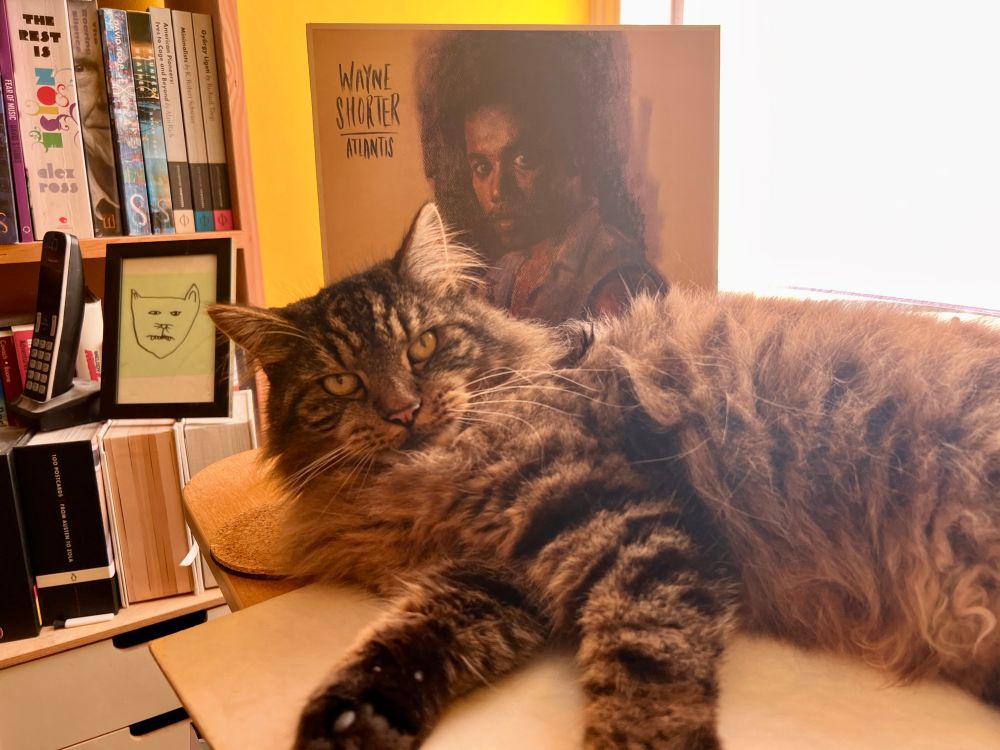 The Bug, a cat, glowers menacingly at the camera as he leans up against the LP sleeve of Wayne Shorter's Atlantis.