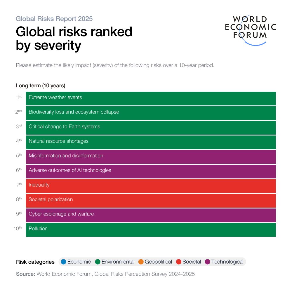 Global risk rankings in the next ten years