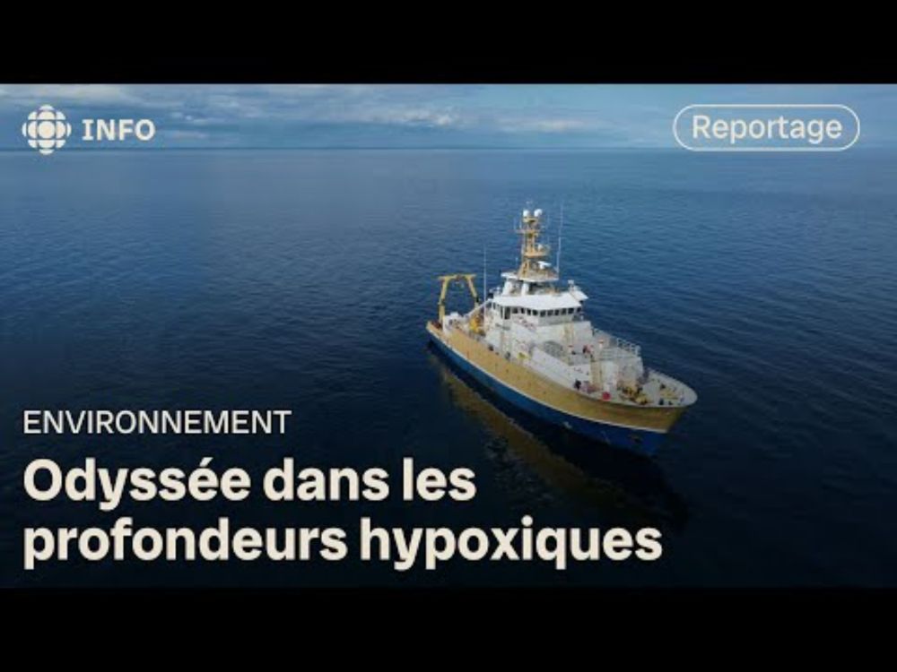 Le Saint-Laurent au bord de l’asphyxie | La semaine verte