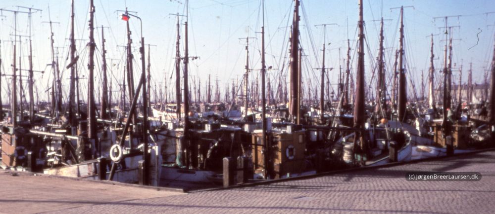 Fiskekuttere i Esbjerg Havn