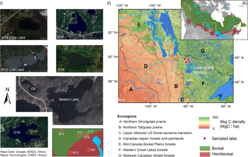 Boreal forest cover was reduced in the mid-Holocene with warming and recurring wildfires - Communications Earth & Environment