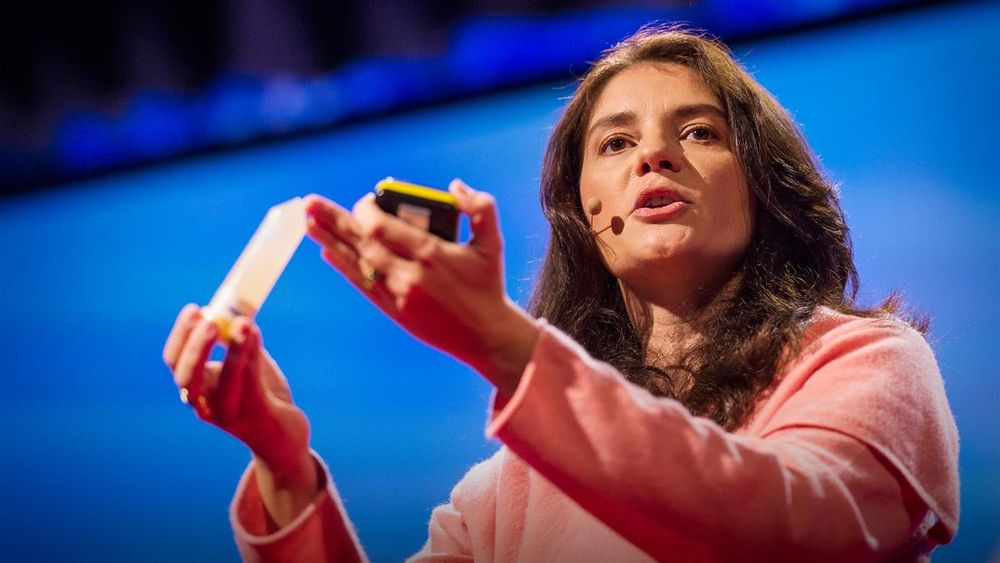 ¿Qué tiene de especial el cerebro humano? - Mujeres con ciencia