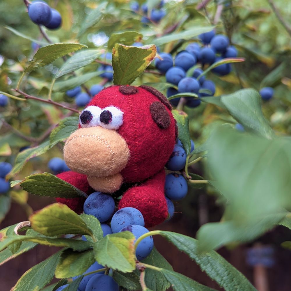 little red guy with a tan nose sitting on some berries