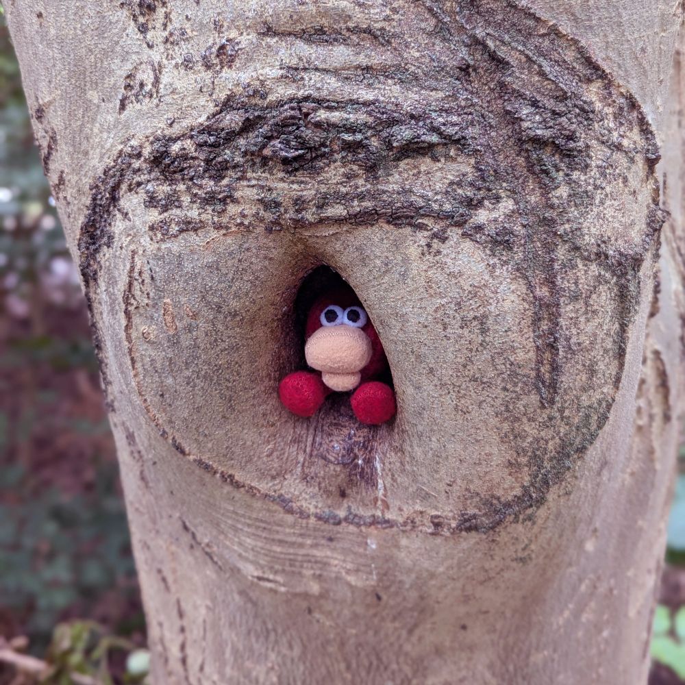little red guy sitting in a hole in a tree
