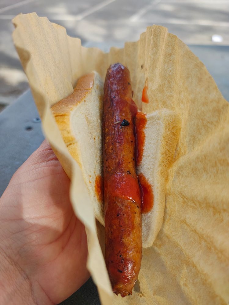 Photo of a democracy sausage. Schools do fundraising at the polling booths, a sausage sizzle is a traditional offering. A pork sausage laying on a white slice of bread with tomato sauce on top
