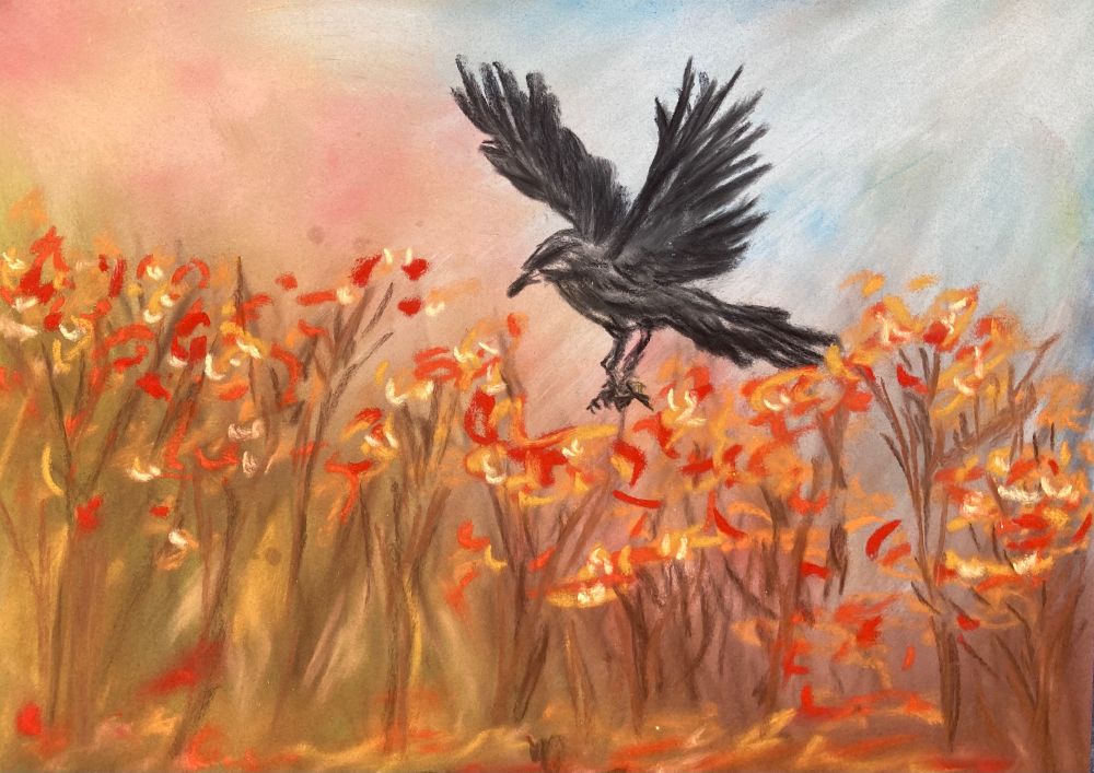A drawing of a crow flying over a field of somewhat abstracted flowers in autumnal colours.