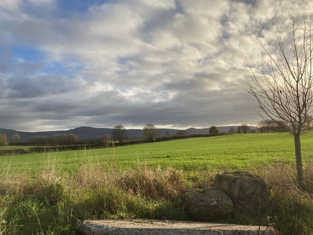 On a rough field track looking out into the distance and the range of hills - about ten minutes ish by car before you know it you are up there 🌟it was a bright very cold dry day today perfect for walking 🧤