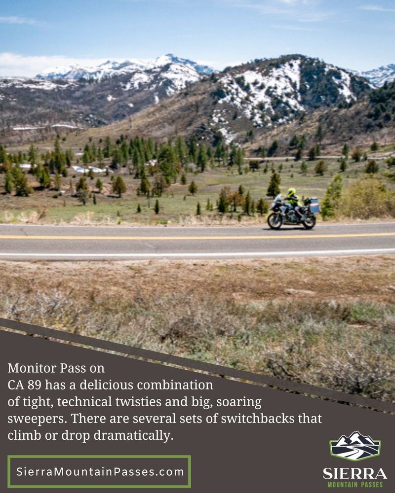 Motorcycle rider in sweeping curve of Monitor Pass with alpine meadow in the background and text reading "Monitor Pass on 
CA 89 has a delicious combination
of tight, technical twisties and big, soaring
sweepers. There are several sets of switchbacks that climb or drop dramatically. "