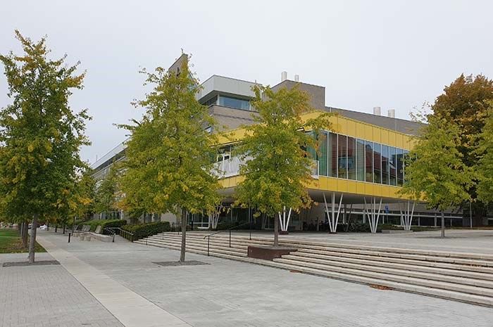 A four story building slightly obscured by 5 large trees. In front of the building is concrete paving and a long (horizontally) set of ca. 10 steps. The building is grey except for a prominent section sticking out towards the camera that is bright yellow with lots of glass windows.