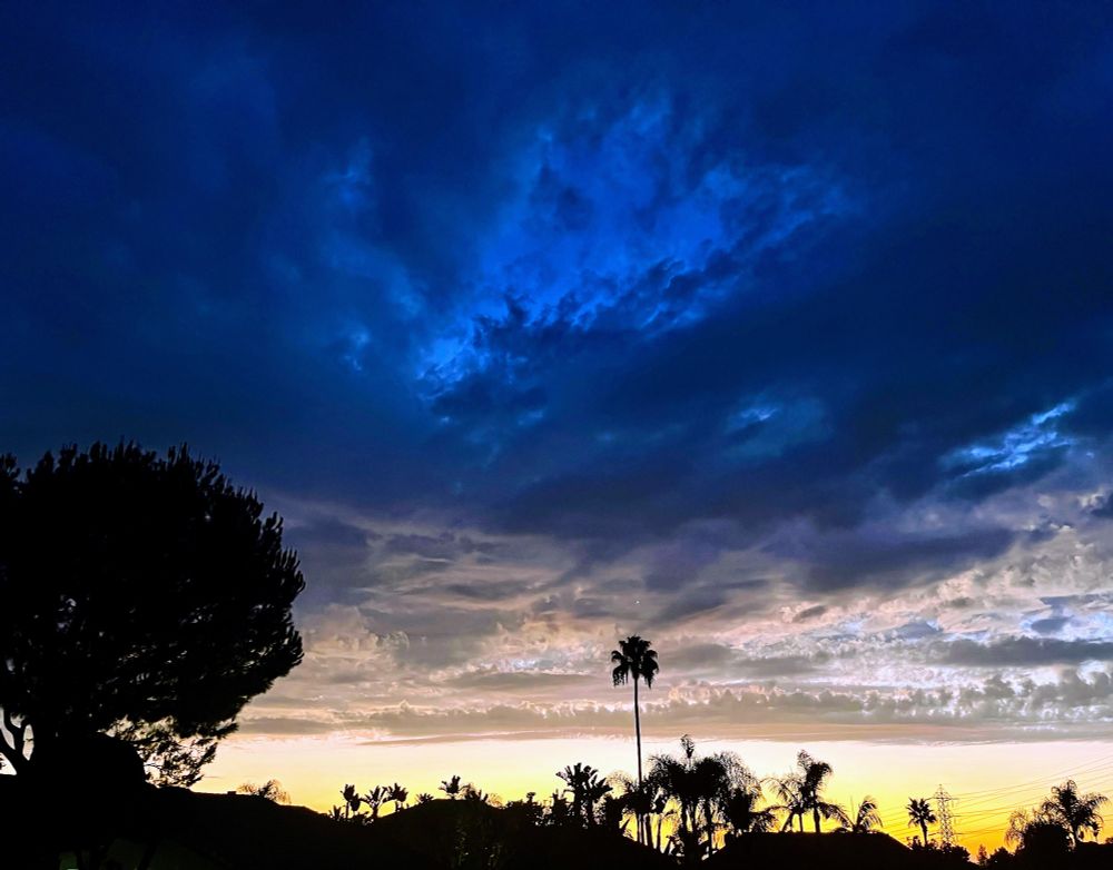 Post very light rain cloudy sunset with prominent palm tree in distance 