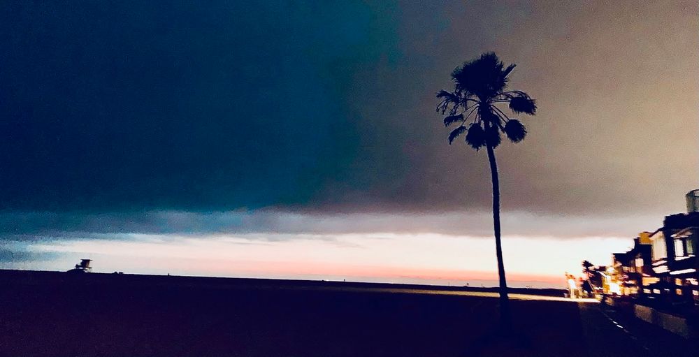 Sunset on Newport Beach with palm tree and houses on right and lifeguard stand in distance 
