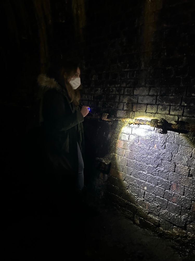Michelle undertaking a hibernation survey in a tunnel.