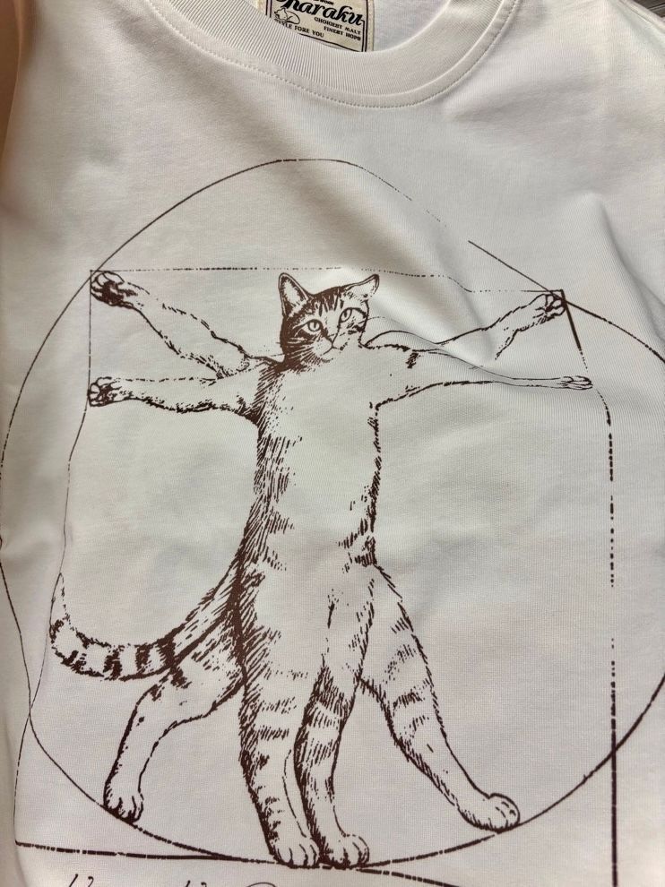 レオナルドダビンチ画　ウィトルウィウス的人体図のパロディイラスト。中央の人体が猫にすり替わっている。