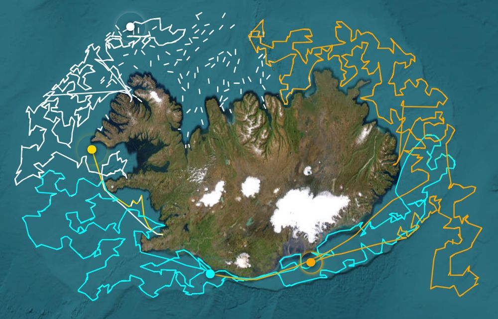 Satellite image of Iceland and coastal shelf showing the stations of the Iceland groundfish survey and the tracks of the vessels participating.